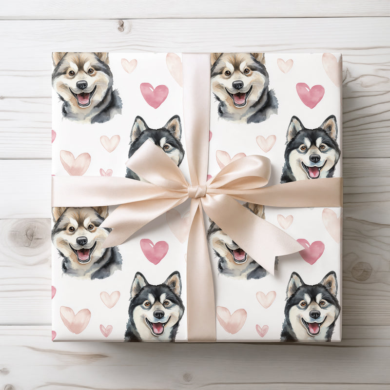 Frosted Heartpaws – Romantic Alaskan Klee Kai Portrait wrapping paper