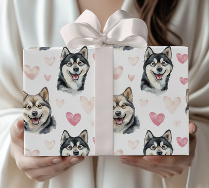 Frosted Heartpaws – Romantic Alaskan Klee Kai Portrait wrapping paper