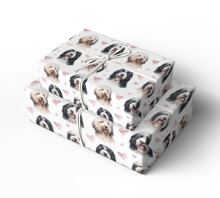 Softpaw Harmony – Polish Lowland Sheepdog love hearts wrapping paper