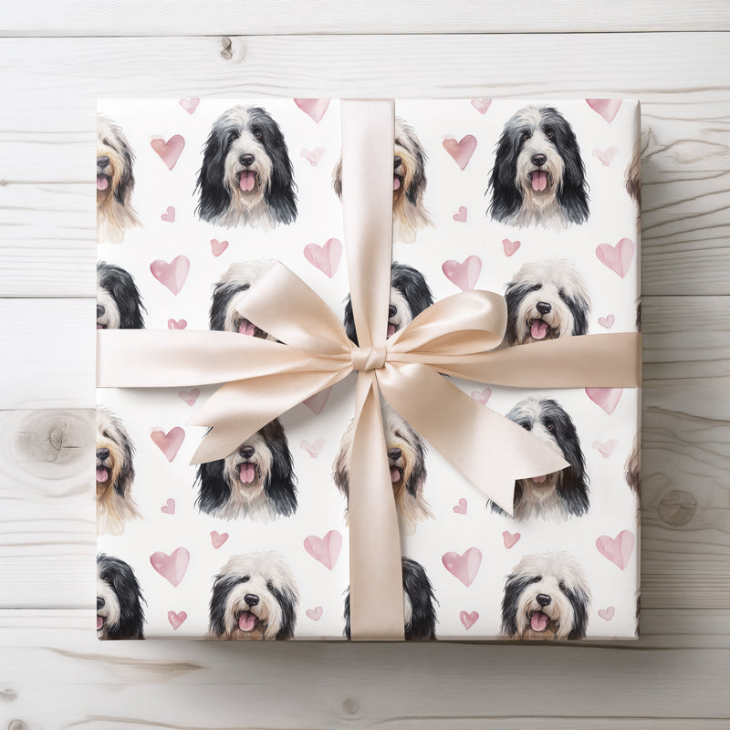 Softpaw Harmony – Polish Lowland Sheepdog love hearts wrapping paper