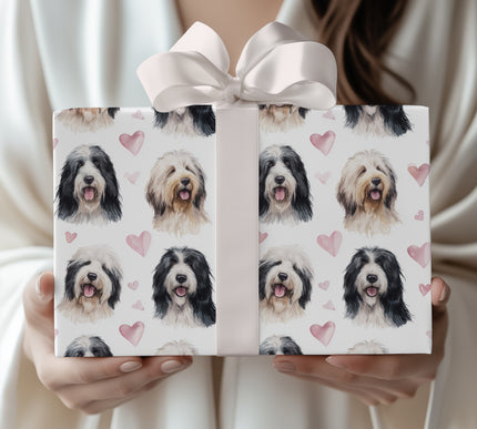 Softpaw Harmony – Polish Lowland Sheepdog love hearts wrapping paper
