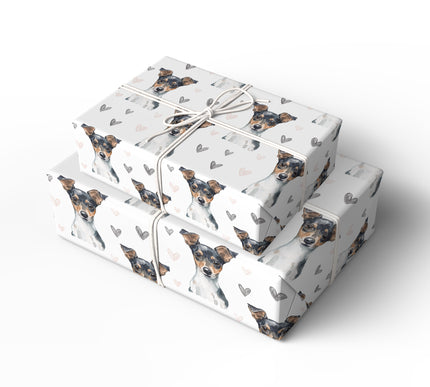Whiskerheart Sketch – Rat Terrier Love Hearts wrapping paper