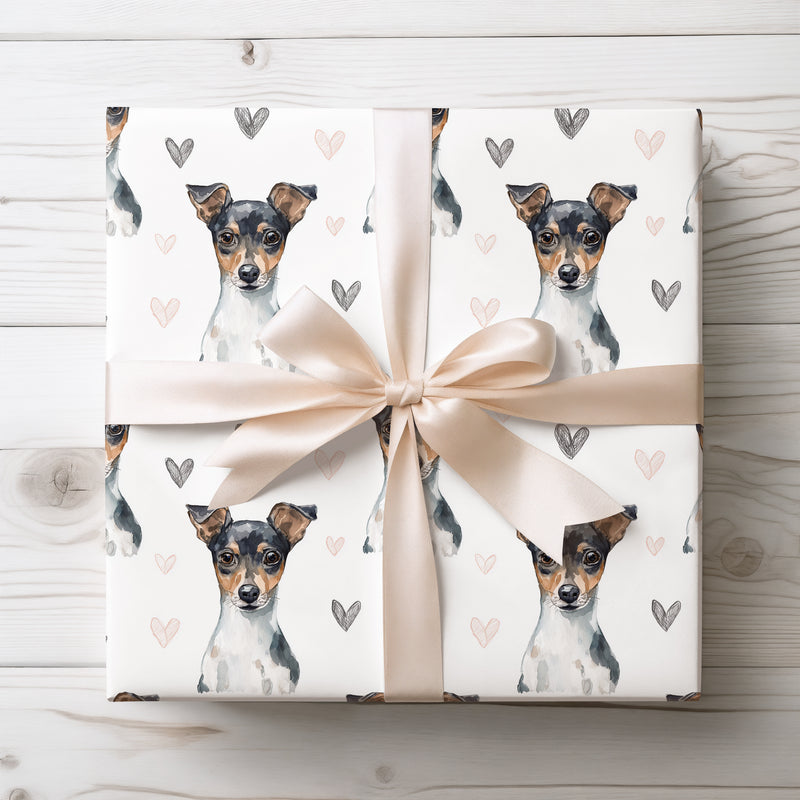 Whiskerheart Sketch – Rat Terrier Love Hearts wrapping paper