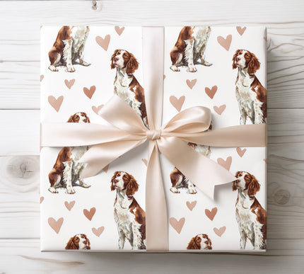 Premium English Springer Spaniel dog wrapping paper featuring realistic watercolor English Springer Spaniel illustrations with soft blush heart accents on a clean white background. Perfect gift wrap for English Springer Spaniel owners, dog lovers, Valentine’s Day, birthdays, and elegant pet-themed gifts. High-quality wrapping paper with a warm, romantic, and timeless design. 