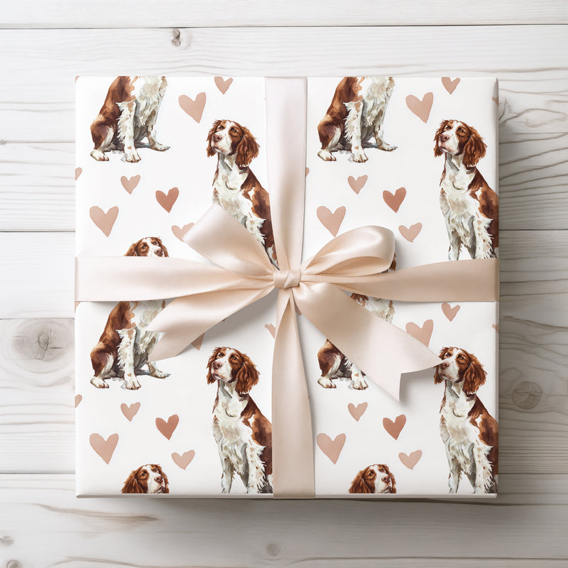 Hearthstep Grace – English Springer Spaniel watercolor hearts wrapping paper