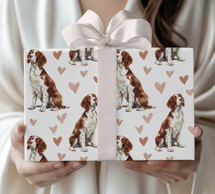Hearthstep Grace – English Springer Spaniel watercolor hearts wrapping paper