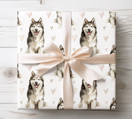 Premium Alaskan Malamute dog wrapping paper featuring elegant watercolor portraits with soft blush and neutral hearts on a clean white background. Perfect gift wrap for Alaskan Malamute lovers, dog moms and dog dads, Valentine’s Day, birthdays, anniversaries, and cozy winter-inspired pet-themed gifts. High-quality wrapping paper with a gentle, romantic style. 