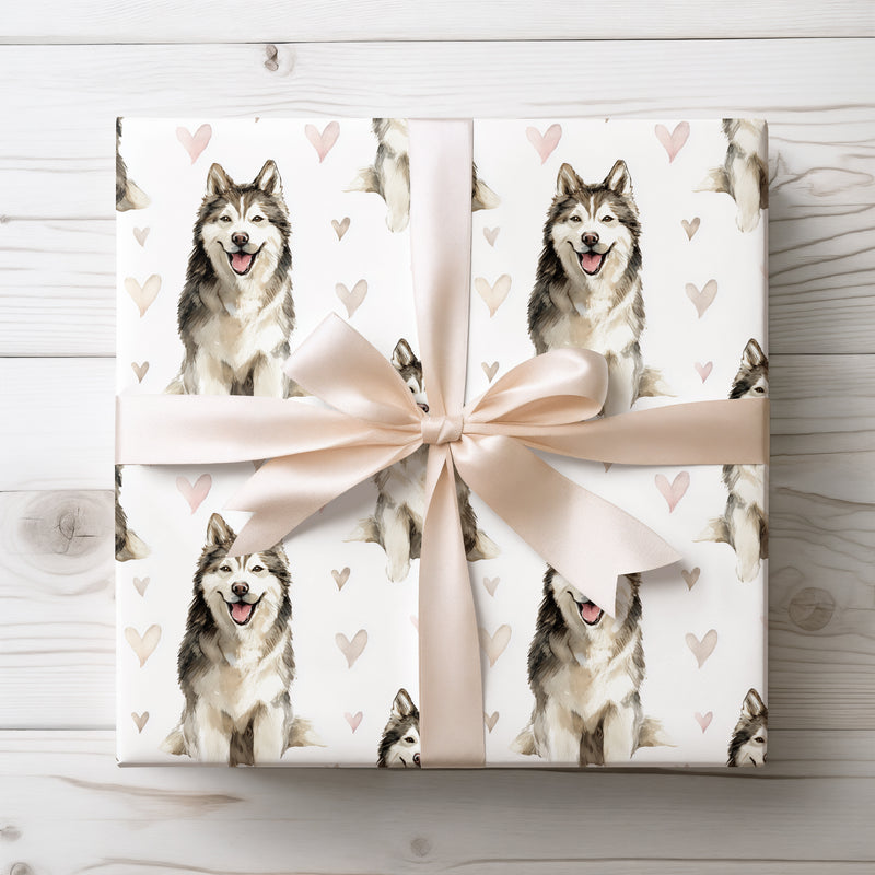 Ivory Snowbond – Romantic Alaskan Malamute Portrait wrapping paper