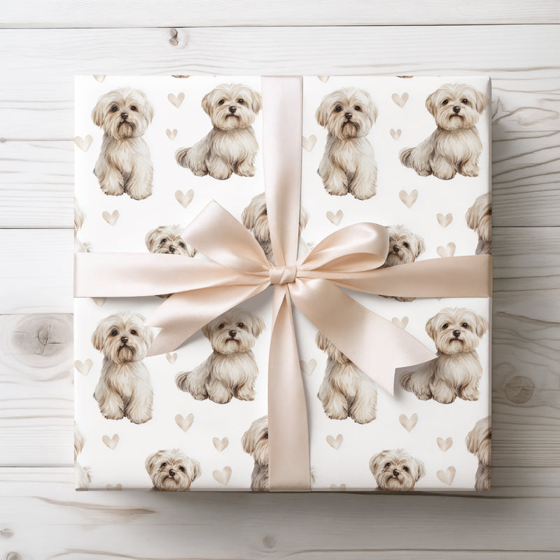 Snowkiss Whimsy – Maltese love wrapping paper