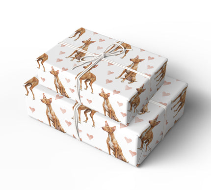 Amber Ankhheart – Pharaoh Hound wrapping paper