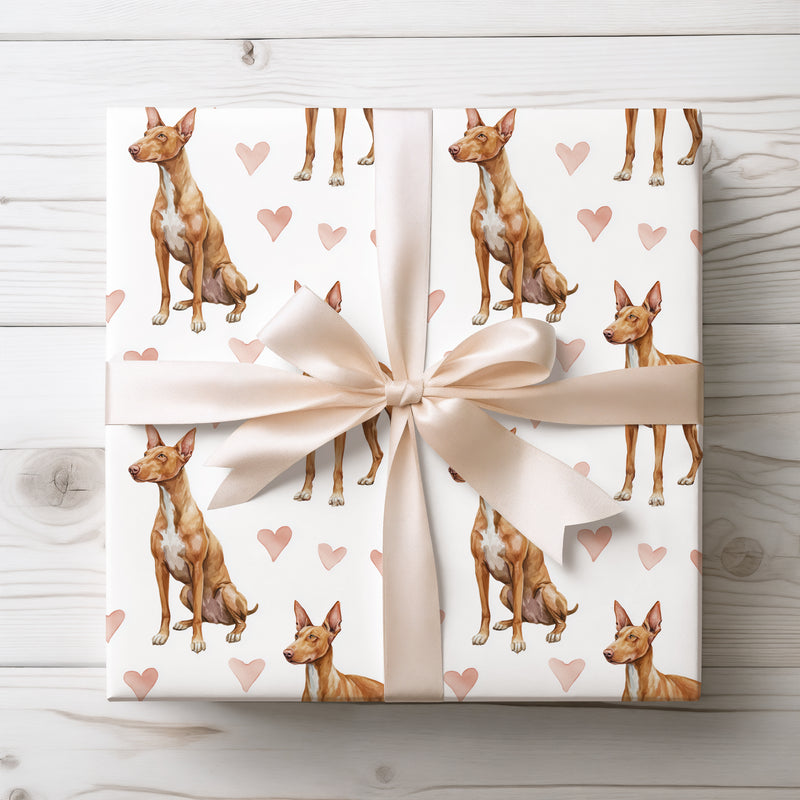 Amber Ankhheart – Pharaoh Hound wrapping paper