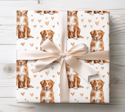 Beautiful watercolor Nova Scotia Duck Tolling Retriever wrapping paper with detailed hand-painted dog illustrations and warm heart motifs. Ideal for Toller owners, dog lovers, birthdays, Valentine’s Day, and special occasions. High-quality seamless Nova Scotia Duck Tolling Retriever wrapping paper that makes every gift feel personal, vibrant, and full of love. 