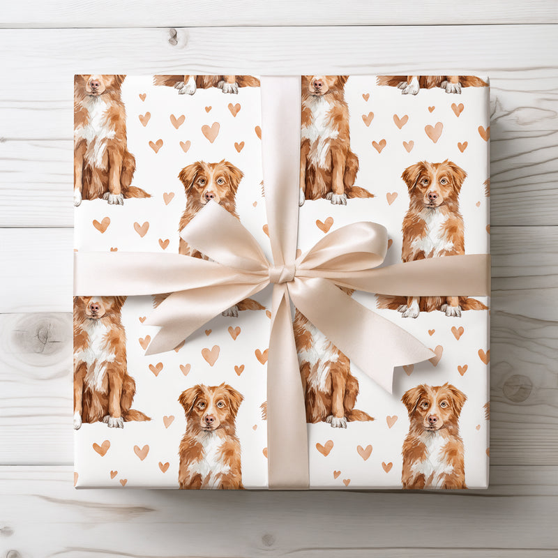 Amber Heartcall – Nova Scotia Duck Tolling Retriever love wrapping paper