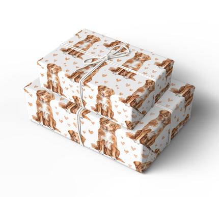 Amber Heartcall – Nova Scotia Duck Tolling Retriever love wrapping paper