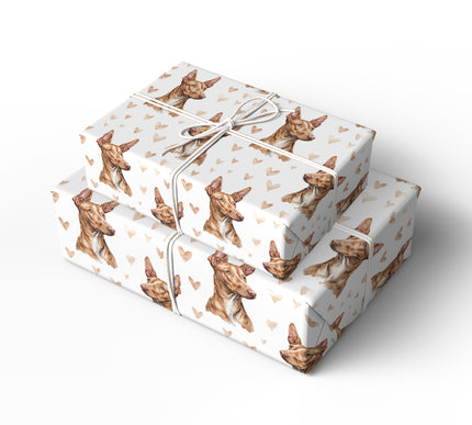 Amber Sentinel – Pharaoh Hound love wrapping paper