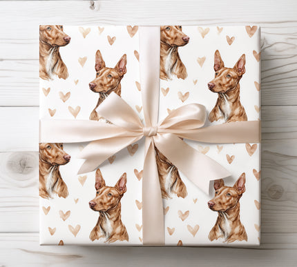 Elegant watercolor Pharaoh Hound wrapping paper showcasing refined, hand-painted Pharaoh Hound dog portraits paired with gentle heart motifs. Ideal for Pharaoh Hound owners, dog lovers, birthdays, Valentine’s Day, and meaningful occasions. High-quality seamless Pharaoh Hound wrapping paper that brings grace, loyalty, and timeless beauty to every gift. 