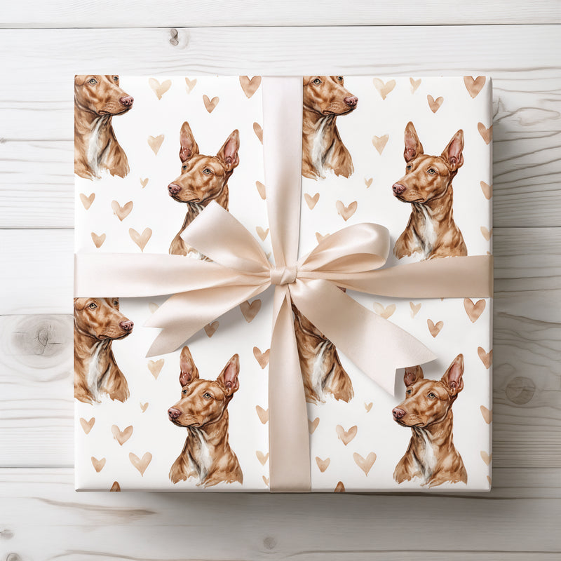 Amber Sentinel – Pharaoh Hound love wrapping paper