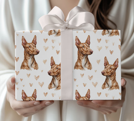 Amber Sentinel – Pharaoh Hound love wrapping paper