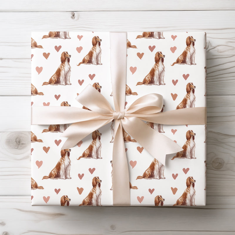 Amber Silkhounds – Romantic Afghan Hound Hearts wrapping paper