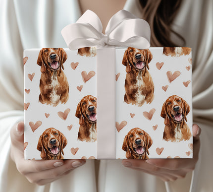 Amberheart Howl – Bloodhound love wrapping paper
