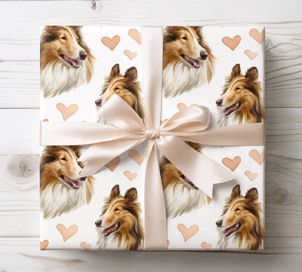 Elegant Rough Collie wrapping paper showcasing detailed watercolor Rough Collie portraits paired with warm peach heart details. The bright white background and seamless repeat pattern create a timeless gift wrap for dog lovers, romantic celebrations, birthdays, and special moments. High-quality wrapping paper with a soft, affectionate, pet-inspired aesthetic. 