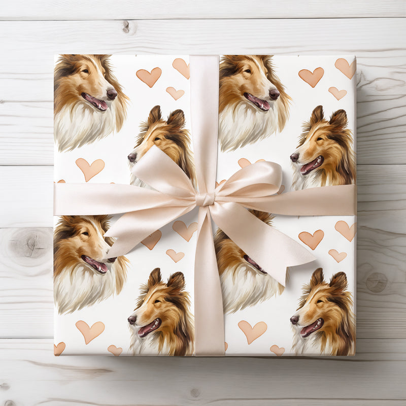 Amberheart Vale – Rough Collie love wrapping paper