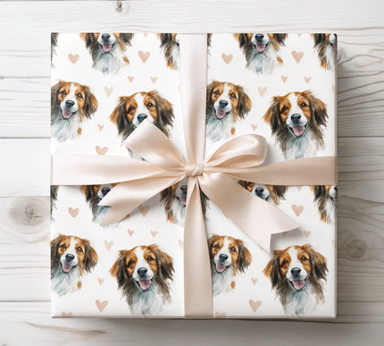 Cheerful Kooikerhondje wrapping paper featuring a realistic watercolor illustration of the Kooikerhondje dog with soft heart accents. Perfect for Kooikerhondje lovers, dog-themed gifts, birthdays, Valentine’s Day, holidays, and special moments. Premium seamless wrapping paper designed for warm, joyful, and elegant gift presentation. 