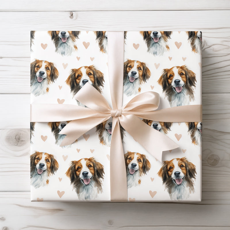Amberjoy – Kooikerhondje Love Pattern wrapping paper