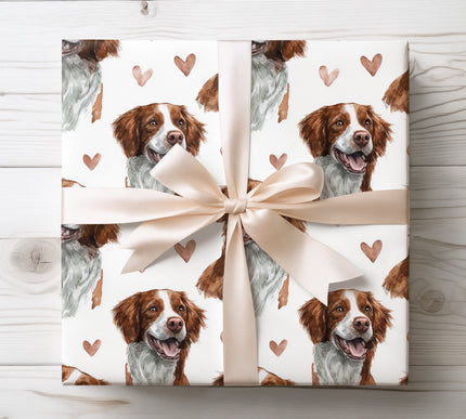 Warm watercolor Brittany dog wrapping paper showcasing a joyful Brittany portrait with delicate pastel hearts on a bright white background. High-quality wrapping paper ideal for dog lovers, special occasions, birthdays, Valentine’s Day, and meaningful gifting. Soft, romantic, and beautifully detailed Brittany gift wrap. 