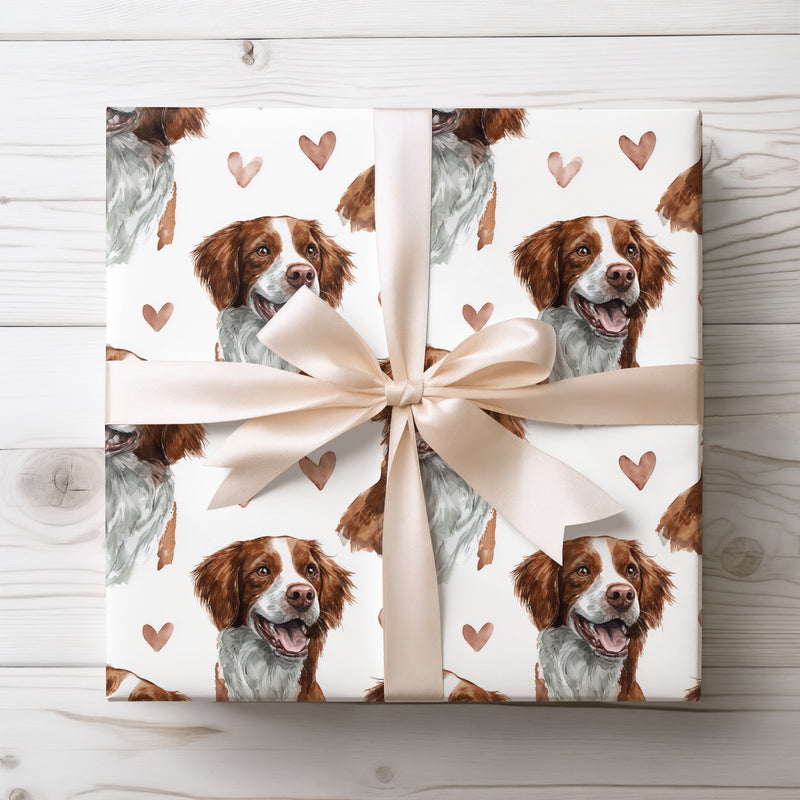 Amberleaf Cheer – Brittany love wrapping paper