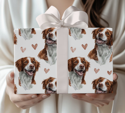 Amberleaf Cheer – Brittany love wrapping paper