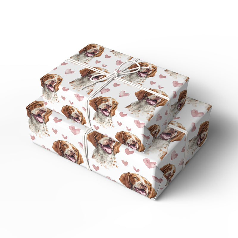 Blush Trailwhisper – Romantic American English Coonhound Portrait wrapping paper