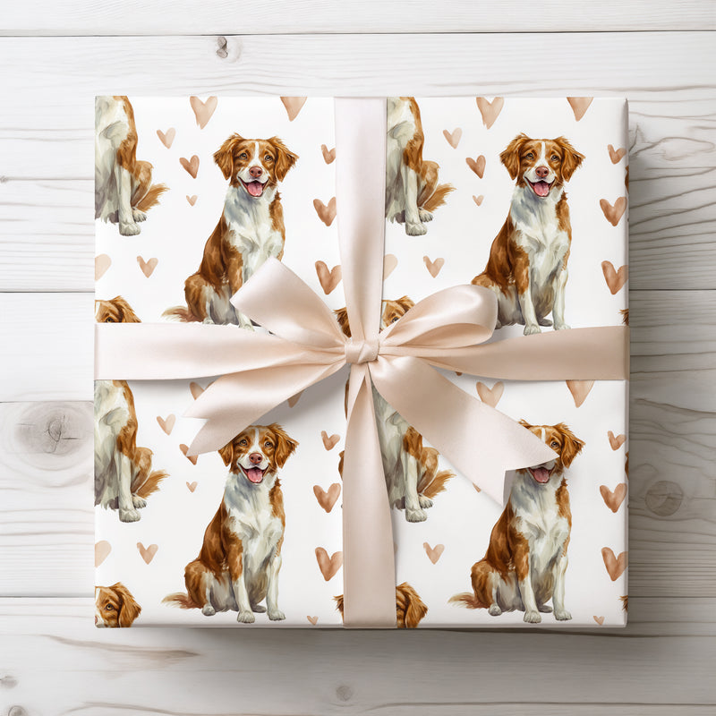 Blushfield Joy – Brittany love wrapping paper