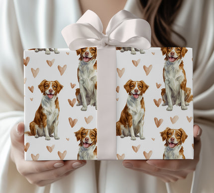 Blushfield Joy – Brittany love wrapping paper