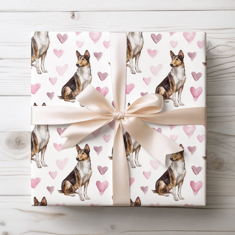 Blushguard Promise – Smooth Collie love wrapping paper