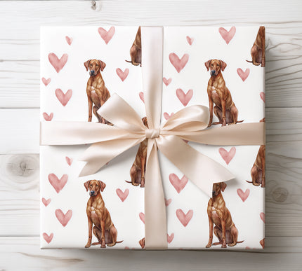 Elegant Rhodesian Ridgeback wrapping paper showcasing a refined watercolor dog illustration paired with gentle pink heart details. Bright white background and seamless repeat create a timeless gift wrap for dog lovers, romantic gifts, and meaningful celebrations. High-quality wrapping paper with a soft, affectionate, pet-inspired design. 
