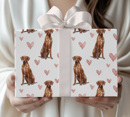 Blushguard Vale – Rhodesian Ridgeback hearts wrapping paper