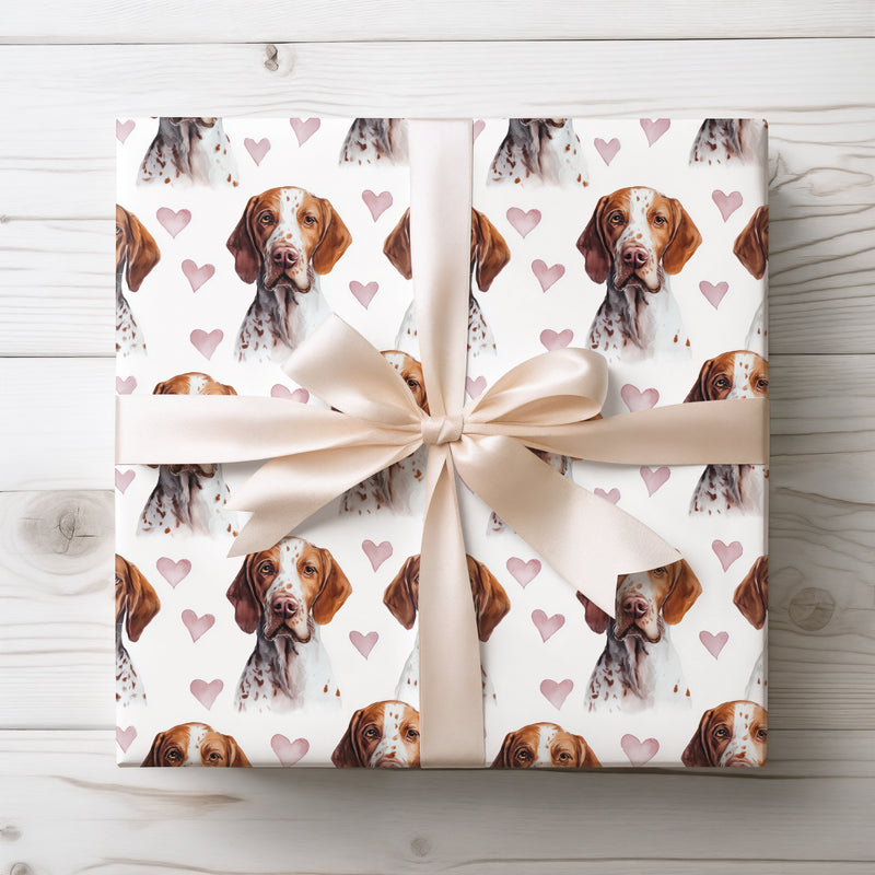 Blushmark Gaze – English Pointer watercolor hearts wrapping paper