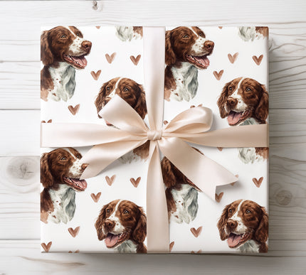 Premium American Water Spaniel wrapping paper featuring elegant watercolor dog portraits with warm blush hearts on a clean white background. Perfect gift wrap for American Water Spaniel lovers, dog moms and dog dads, Valentine’s Day, birthdays, anniversaries, and heartfelt pet-themed gifts. High-quality wrapping paper with a soft, cozy romantic mood. 
