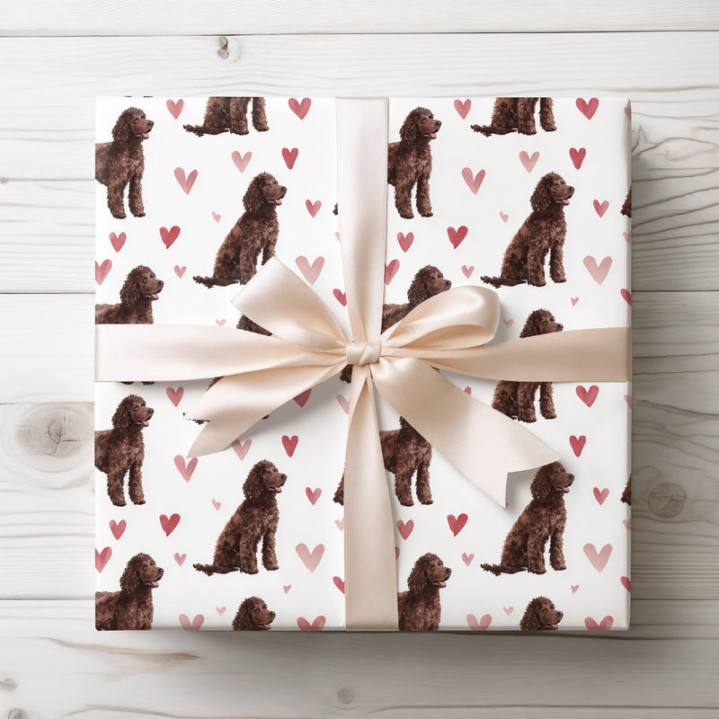 CocoaTide – Irish Water Spaniel Love Pattern wrapping paper