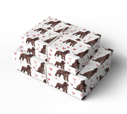 CocoaTide – Irish Water Spaniel Love Pattern wrapping paper