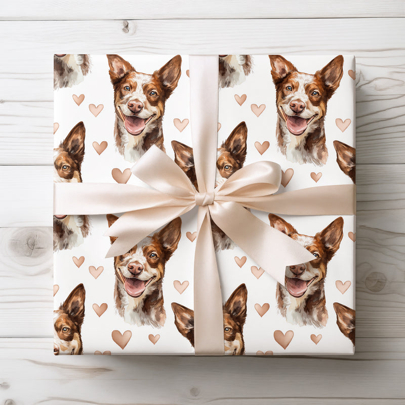 Coppergleam Spirit – Australian Kelpie wrapping paper