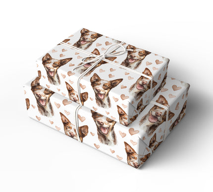 Coppergleam Spirit – Australian Kelpie wrapping paper