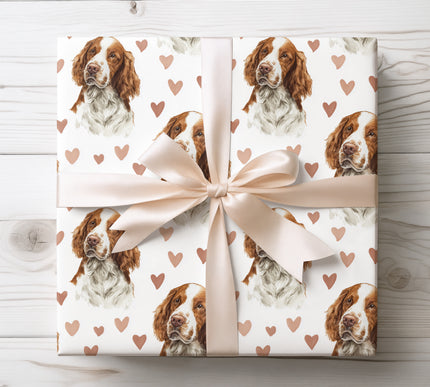 Premium watercolor Welsh Springer Spaniel dog wrapping paper with soft hand-painted hearts on a clean white background. Perfect gift wrap for dog lovers, birthdays, holidays, Valentine’s Day, and special occasions. High-quality, seamless pattern wrapping paper designed for elegant and modern pet-themed gifts. 