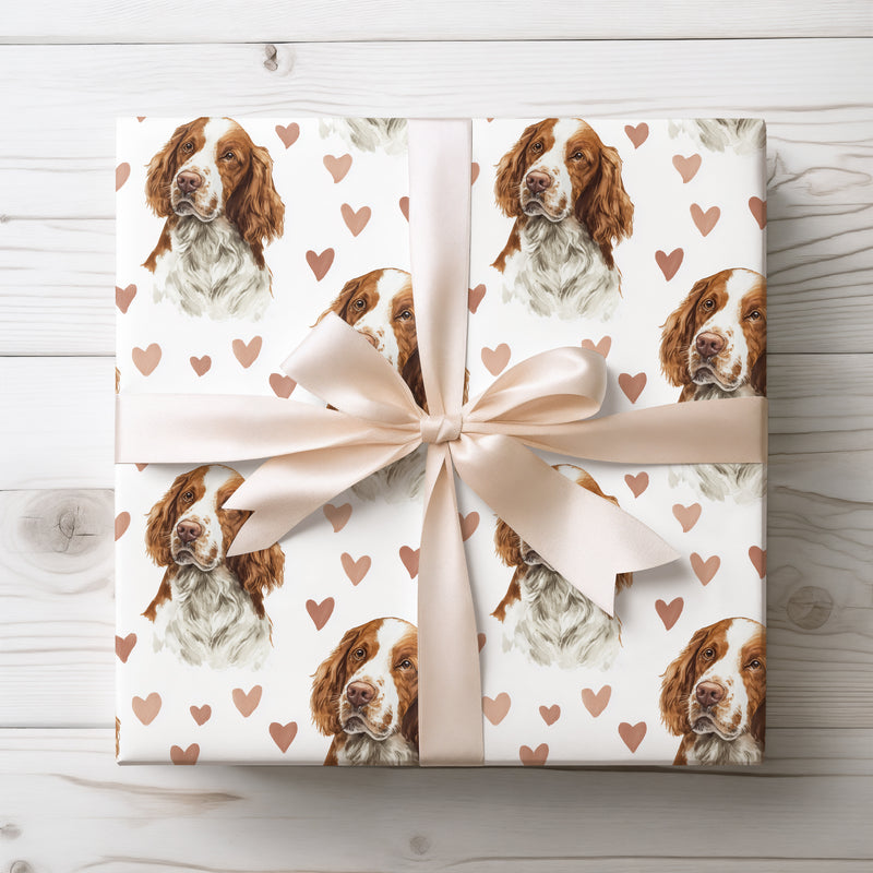 Copperheart Vale – Welsh Springer Spaniel wrapping paper