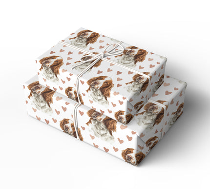 Copperheart Vale – Welsh Springer Spaniel wrapping paper