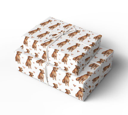 Copperpaws – Irish Terrier Love Pattern wrapping paper