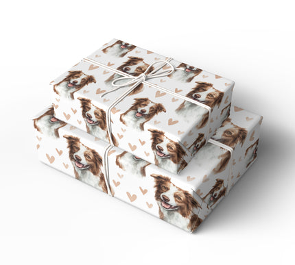 Copperwind Smile – Border Collie love wrapping paper