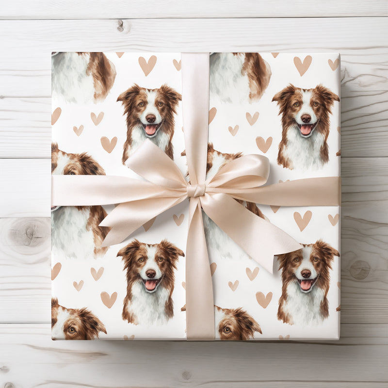 Copperwind Smile – Border Collie love wrapping paper
