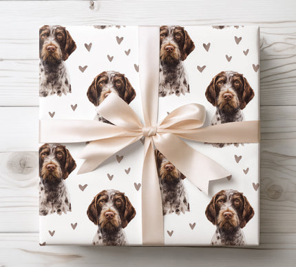 Premium German Wirehaired Pointer wrapping paper featuring realistic watercolor German Wirehaired Pointer portraits with soft neutral heart accents on a clean white background. Perfect gift wrap for German Wirehaired Pointer owners, dog lovers, Valentine’s Day, birthdays, and refined pet-themed gifts. High-quality wrapping paper with a natural, warm, and timeless design. 